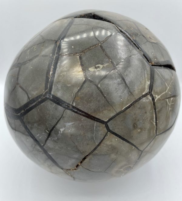 Boule Septariat