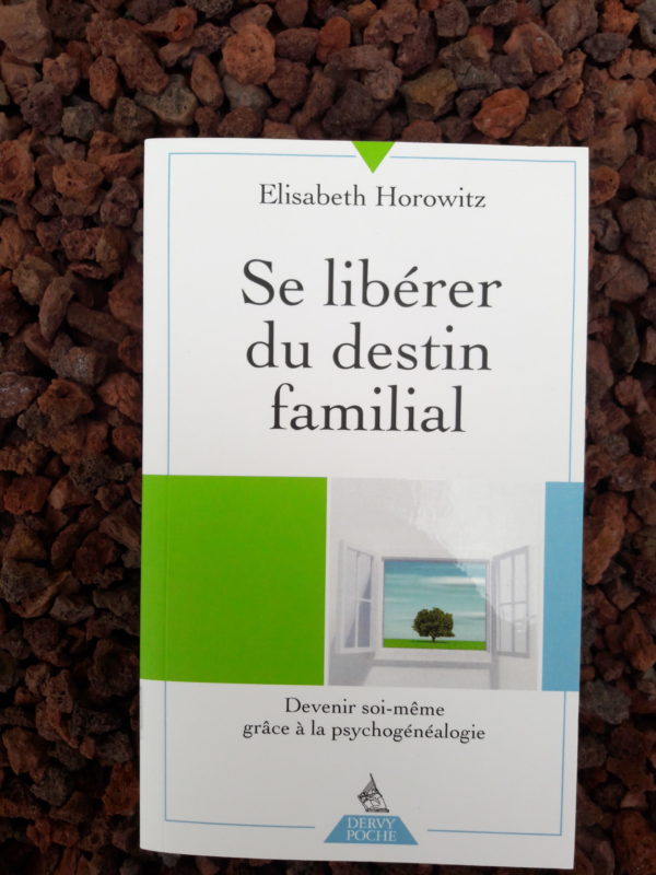 Se libérer du destin familial Version POCHE