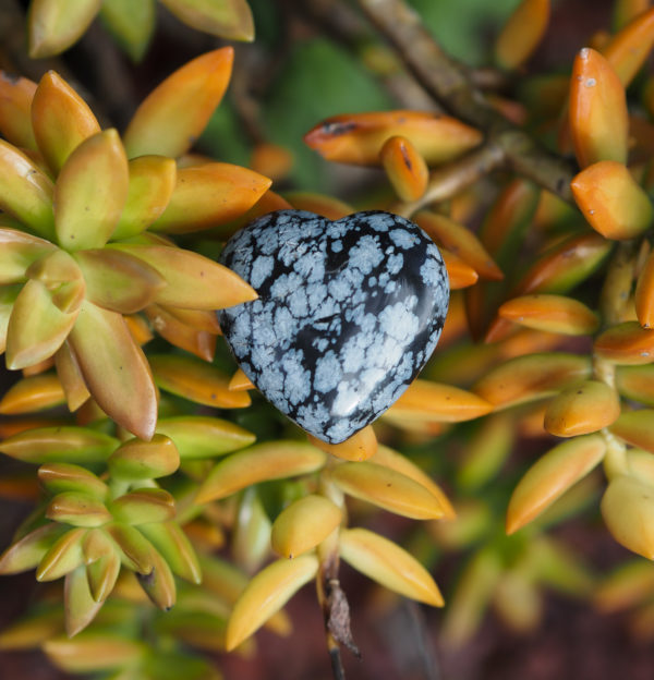 Coeur Obsidienne neigeuse