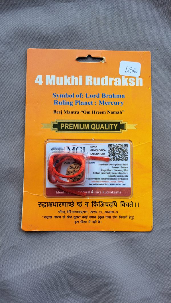 Rudraksha certifié