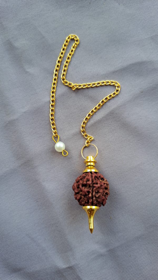 Pendule rudraksha