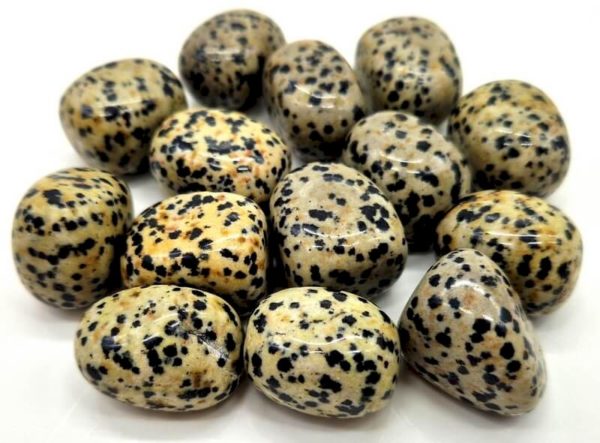 Jaspe Dalmatien A roulées