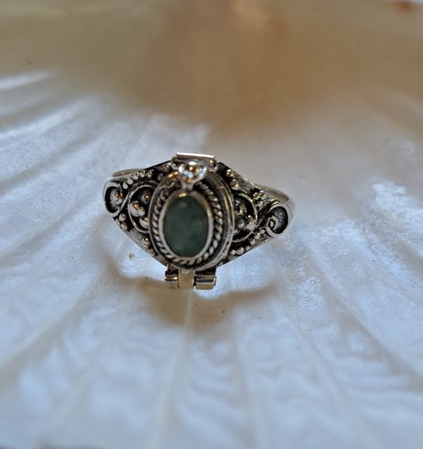 Bague larimar poison argent